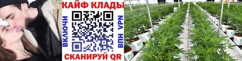 Наркошоп купить COCAIN Меф APVP МАРИХУАНА Гашиш Биробиджан
