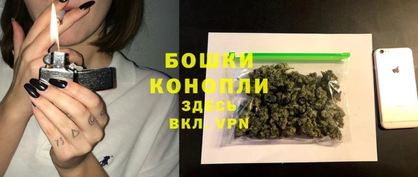скорость Вяземский
