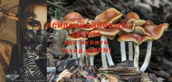 скорость Вяземский