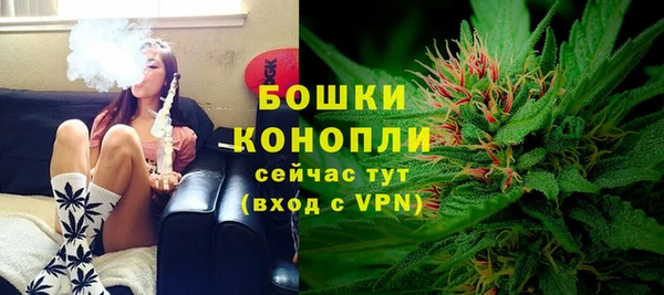 мдпв Вязьма