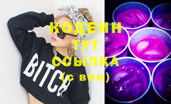 скорость Вяземский