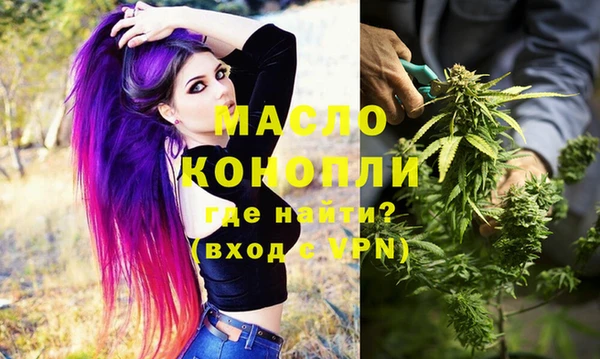 скорость Вяземский
