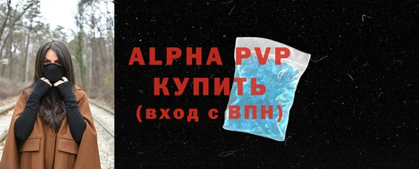 скорость Вяземский